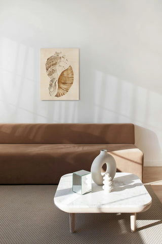 Seashell I