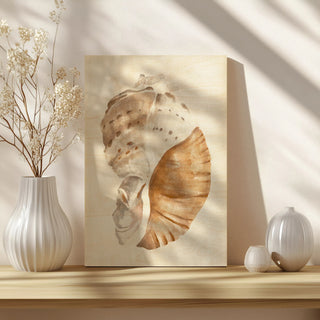 Seashell I