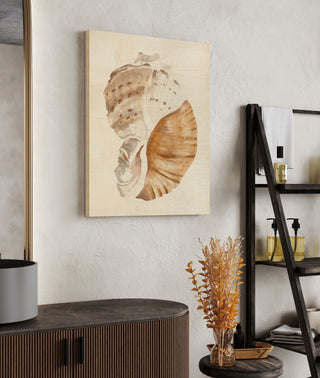 Seashell I