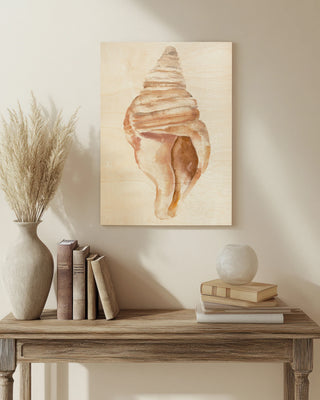 Seashell II