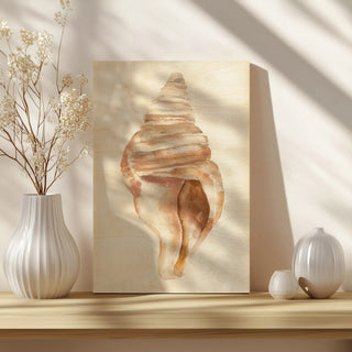 Seashell II