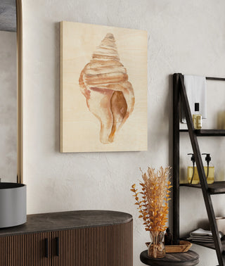 Seashell II