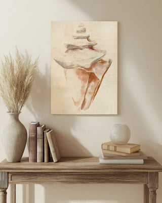 Seashell III