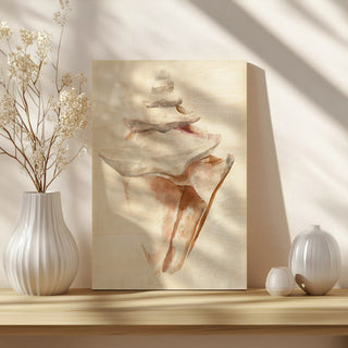 Seashell III