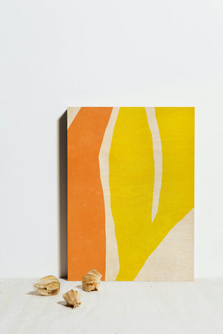 Color Cuts V