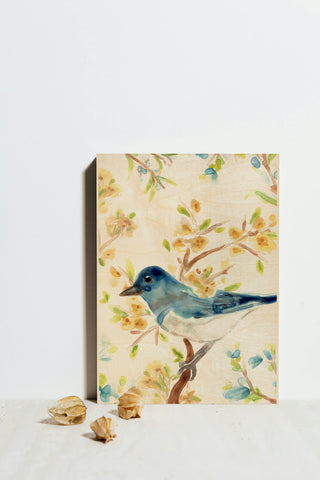 Springtime Songbirds Collection B