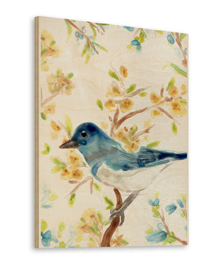 Springtime Songbirds Collection B