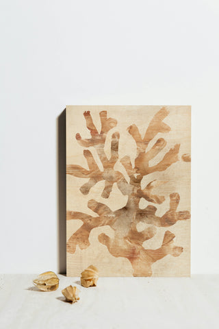 Parchment Coral I