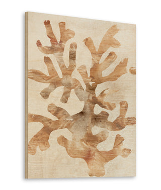 Parchment Coral I