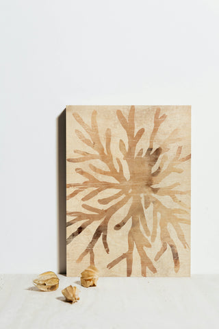 Parchment Coral II