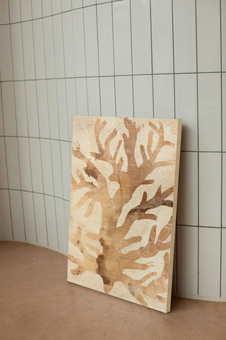 Parchment Coral III