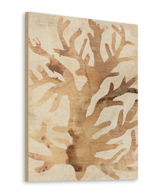 Parchment Coral III