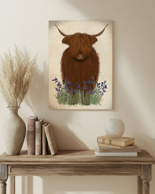 Highland Cow, Bluebell