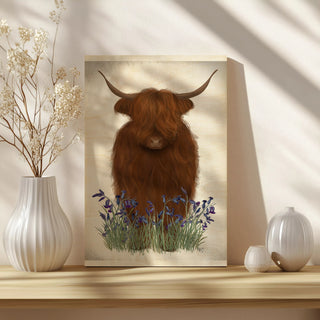 Highland Cow, Bluebell