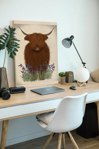 Highland Cow, Bluebell