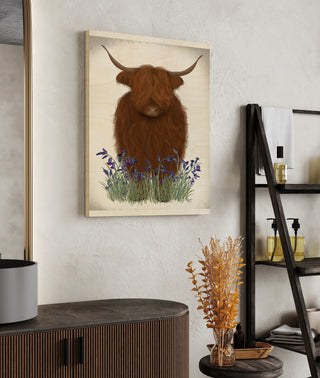 Highland Cow, Bluebell