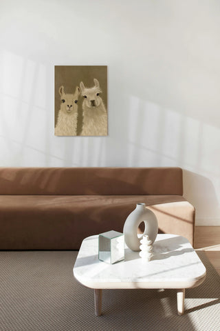 Llama Duo, Looking at You