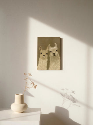 Llama Duo, Looking at You
