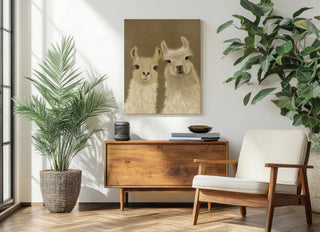 Llama Duo, Looking at You