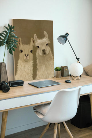 Llama Duo, Looking at You