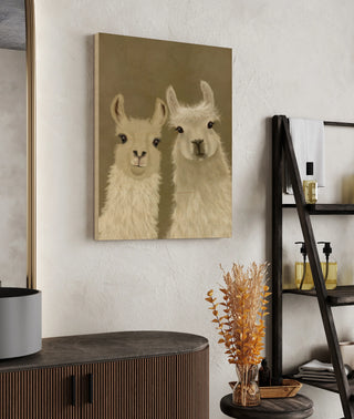 Llama Duo, Looking at You