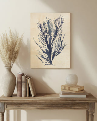 Seaweed 3 Blue