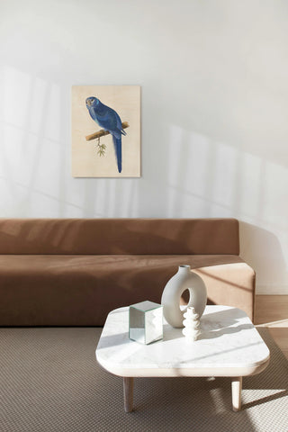 Blue Parrots II