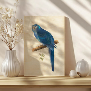 Blue Parrots II