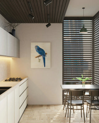 Blue Parrots II