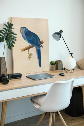 Blue Parrots II