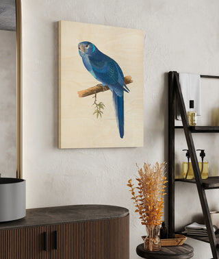 Blue Parrots II