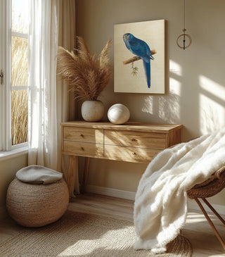 Blue Parrots II