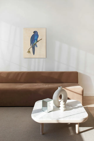 Blue Parrots III