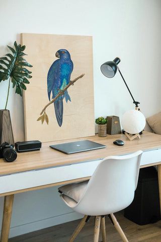 Blue Parrots III