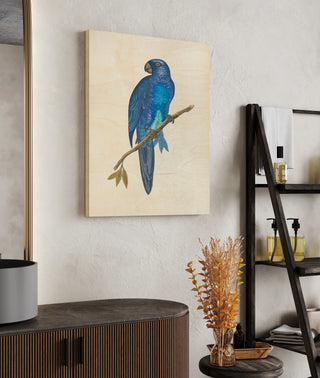Blue Parrots III