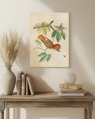 Cuvier Bird & Habitat I
