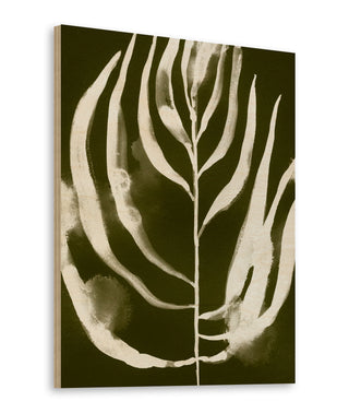 Organic Bloom IV