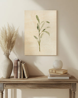 Olive Leaves I