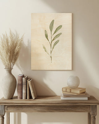 Olive Leaves IV
