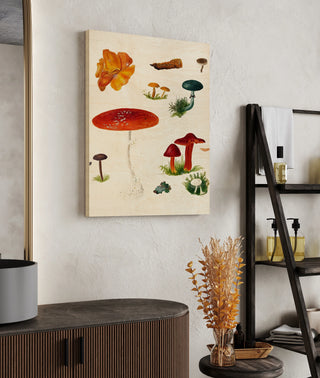 Mushroom Species VIII