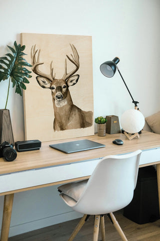 Handsome Whitetail I