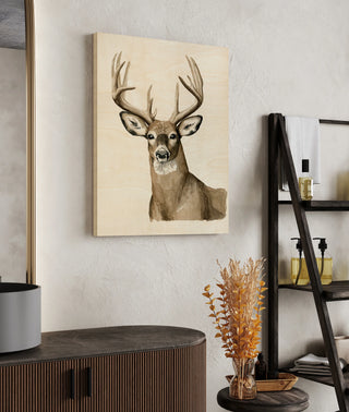Handsome Whitetail I