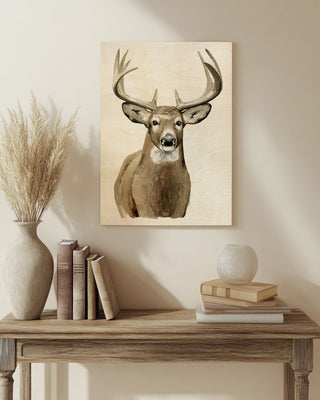 Handsome Whitetail II