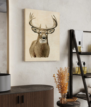 Handsome Whitetail II