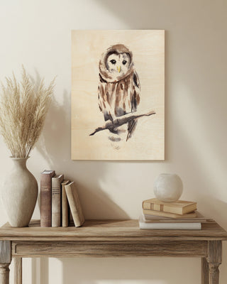 Barred Owl Impressions I