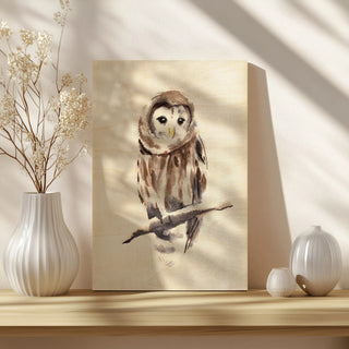 Barred Owl Impressions I