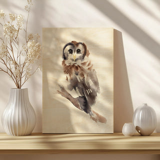 Barred Owl Impressions II