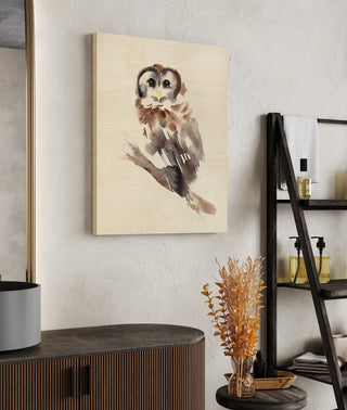 Barred Owl Impressions II