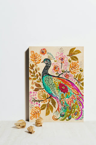 Sweet Peacock