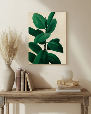 Jeweled Ficus I